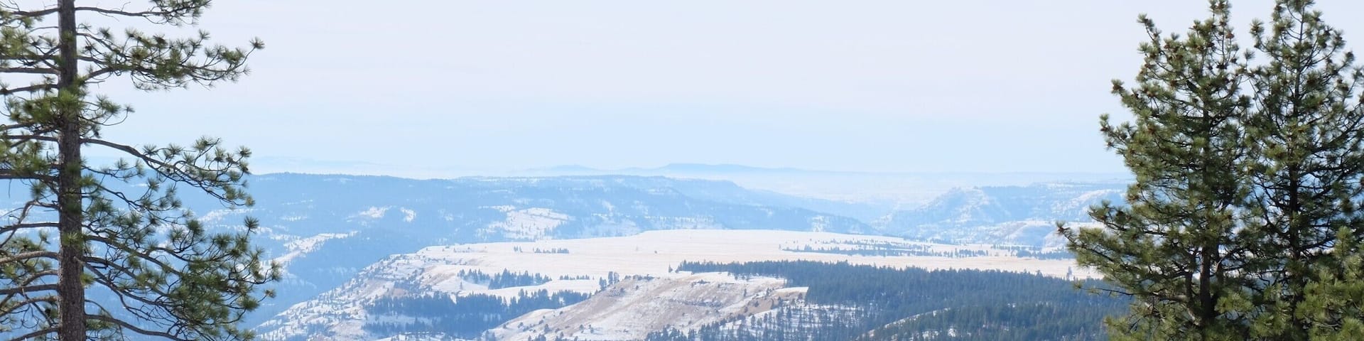 Fantastic views of the Umatila National Forest and North Fork John Day Wilderness from NF-052.