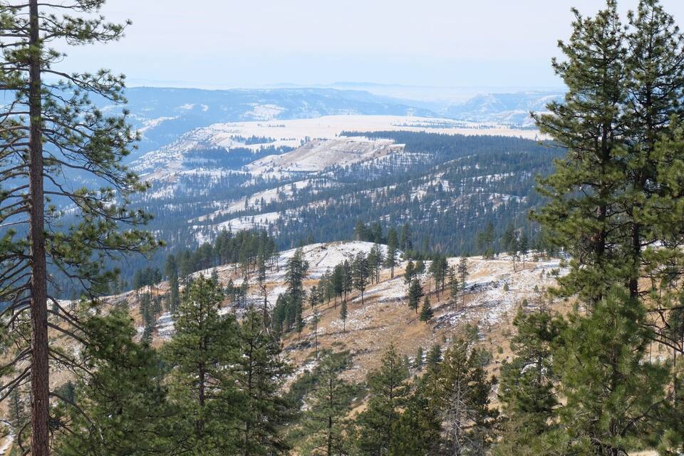 A mountainous landscape with snow-covered peaks and dense pine forests.