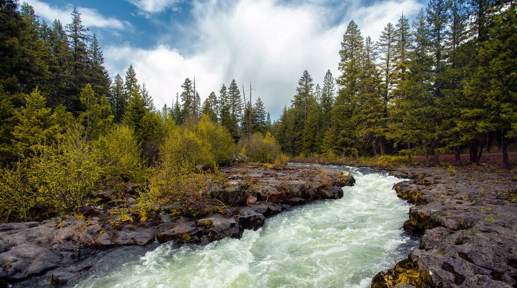 Union Creek | Rogue River Gorge Falls