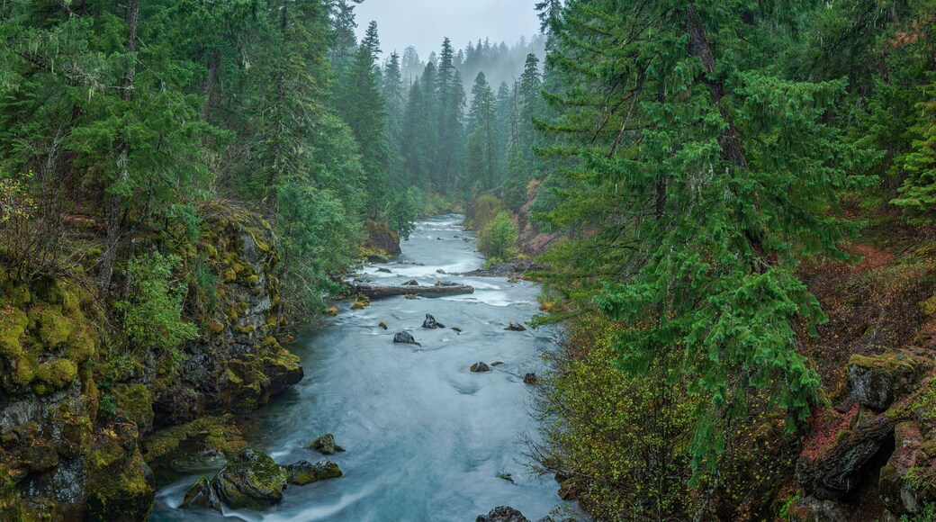 Rogue River Gorge near Union Creek and Crater Lake, Oregon, USA