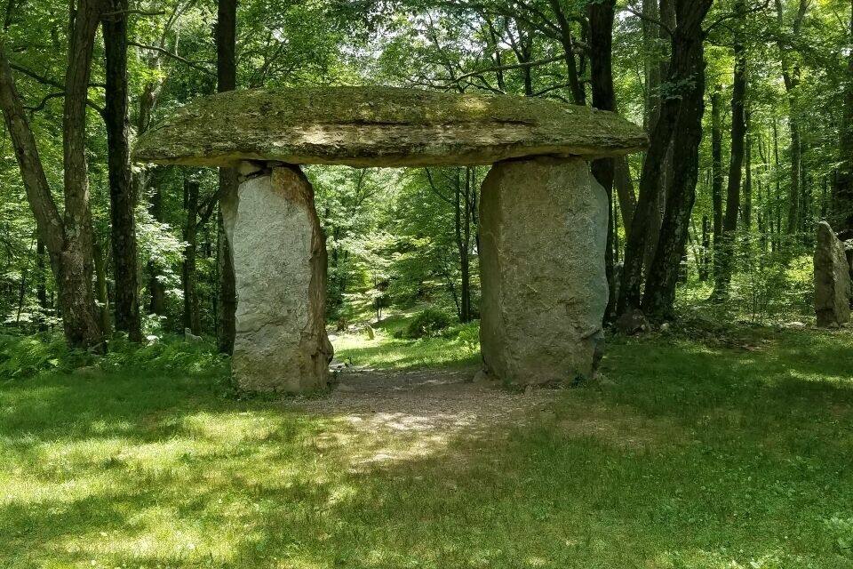 En stenbænk i en skov.