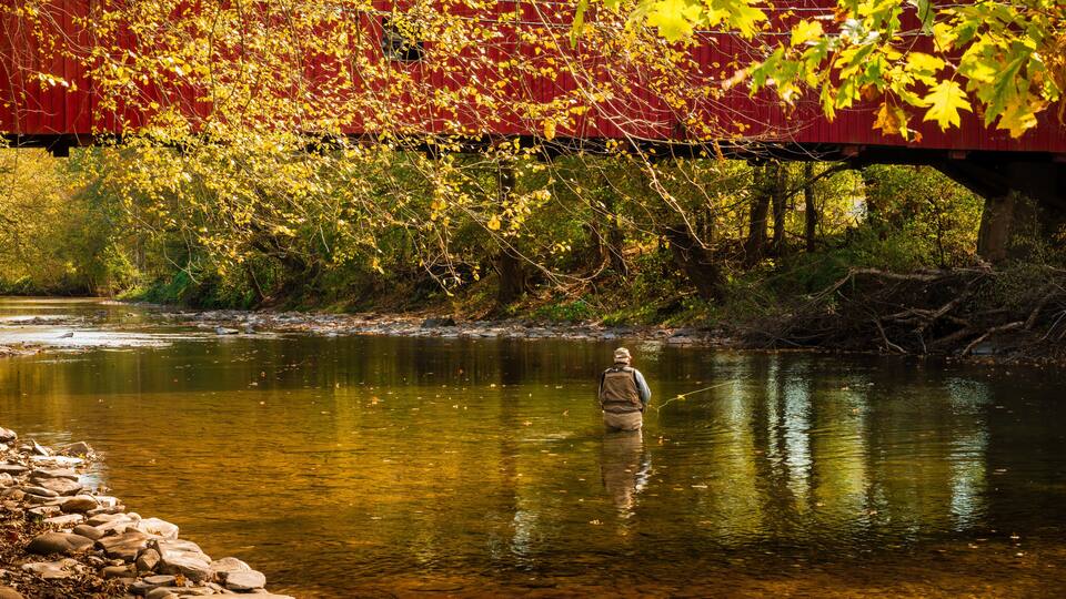 A man fishing under a red bridge with autumn leaves.