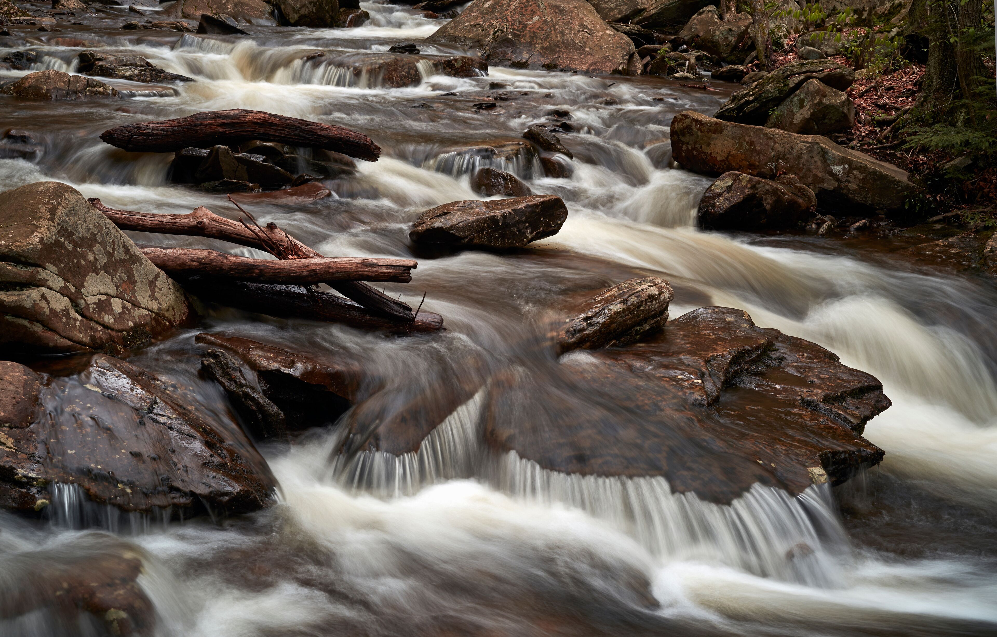 Ricketts Glen State Park, Benton, Pennsylvania, USA