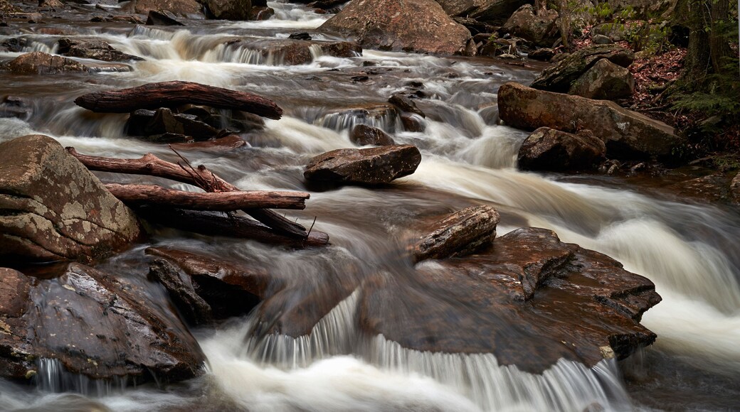 Ricketts Glen State Park, Benton, Pennsylvania, USA
