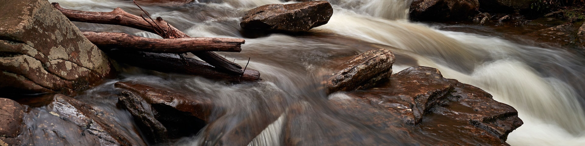Un río caudaloso con rocas grandes y troncos caídos.