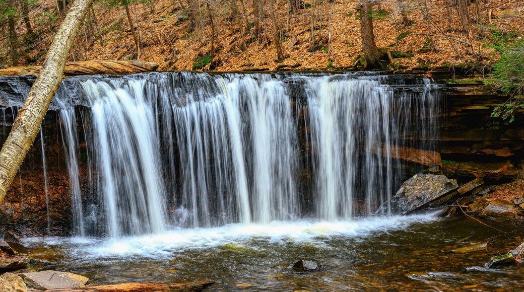 Spring at Ricketts Glen State Park in Benton PA. Known for its 21 waterfalls and old-growth forest and boulders. Hiking the loop on a cold Spring Day.
