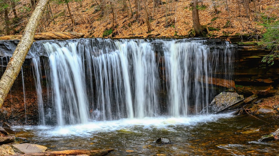 A waterfall in a forest with autumn leaves.