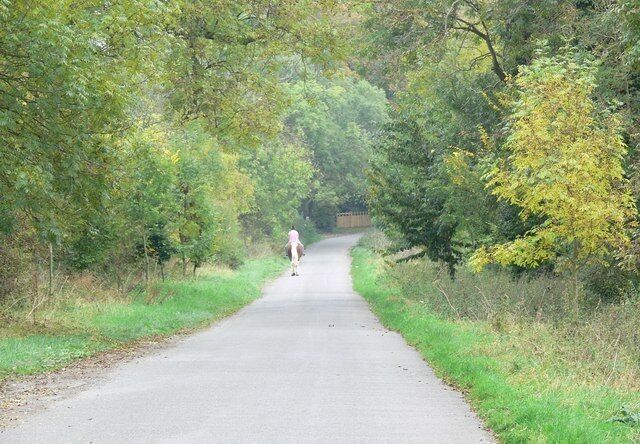 Lane towards East Langton