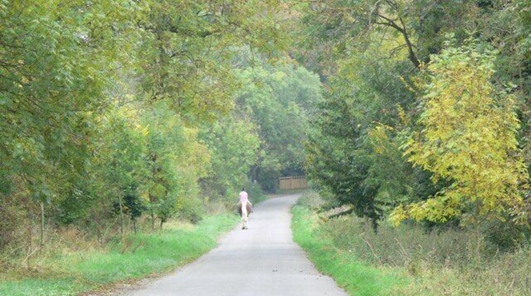 Lane towards East Langton