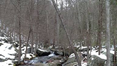 It's never too cold for a hike! #snow