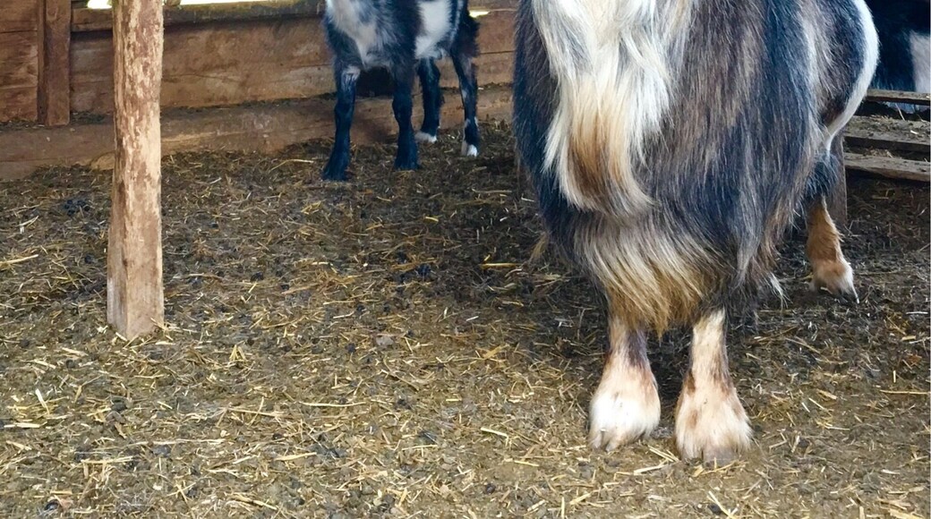 So distinguished, this guy.