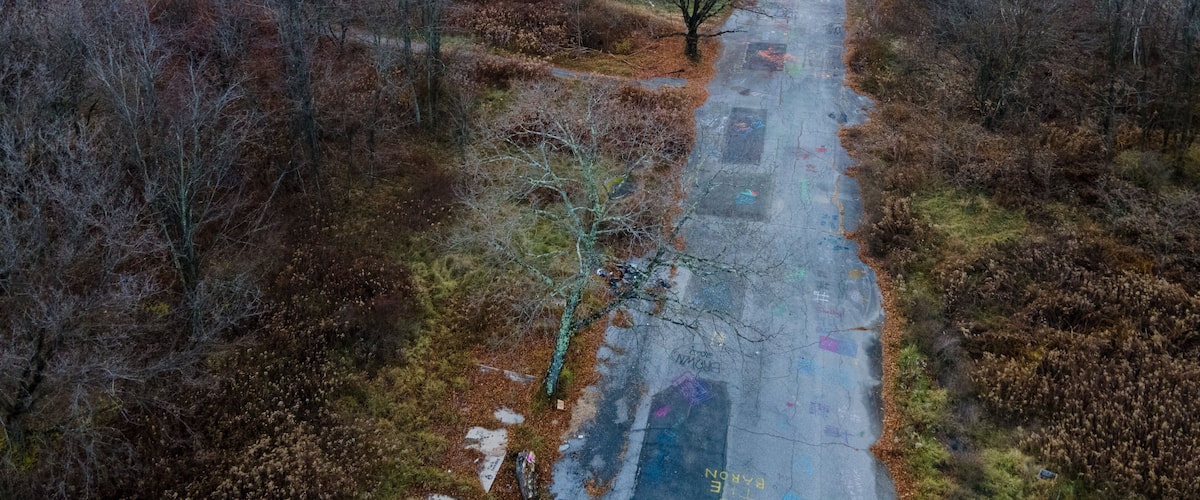 A concrete path winding through a forested area with autumn-colored trees and a hilly landscape in the background.