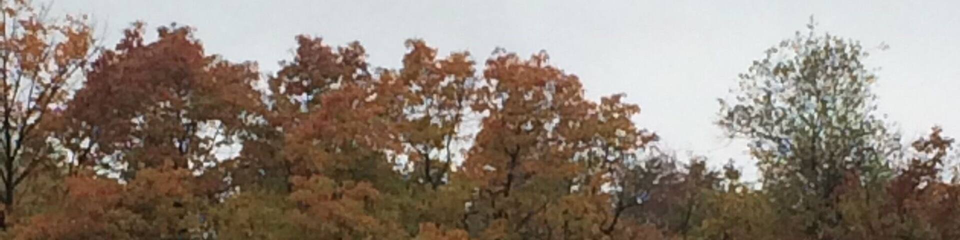 Hiking in and around the ghost town of centrilia,pa.
#hAunted
#ghosttown
#hiking