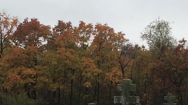 Hiking in and around the ghost town of centrilia,pa.
#hAunted
#ghosttown
#hiking