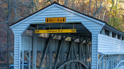 The Knox Covered Bridge on an Autumn Day at Valley Forge National Park