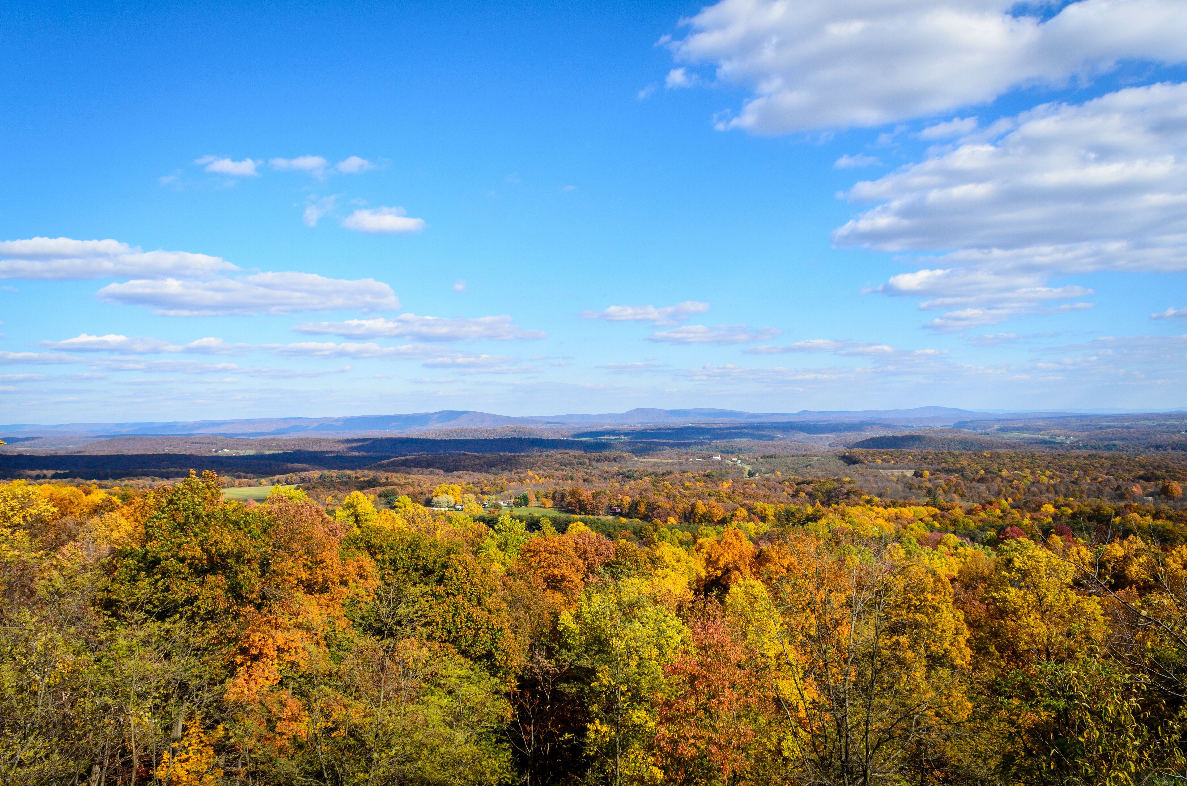 A panoramic view of a forested valley with autumn foliage, distant mountains, and a clear blue sky.