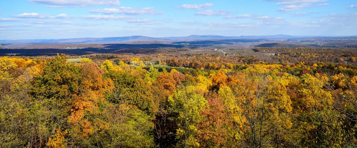 A panoramic view of a forested valley with autumn foliage, distant mountains, and a clear blue sky.