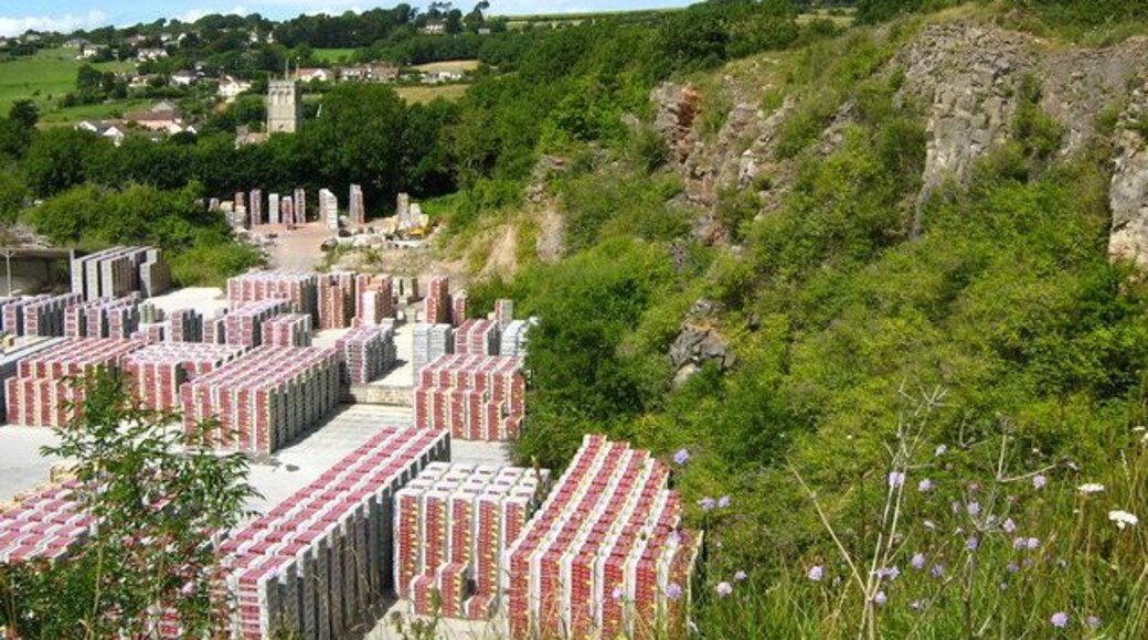 Old quarry near Bleadon Now used as a brick storage yard.