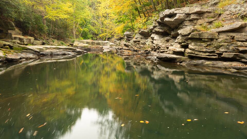 A calm river reflecting yellow autumn leaves, surrounded by rocky terrain and dense trees.