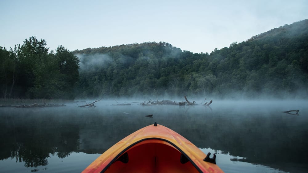 Paddling into log infested waters on a cool foggy morning.