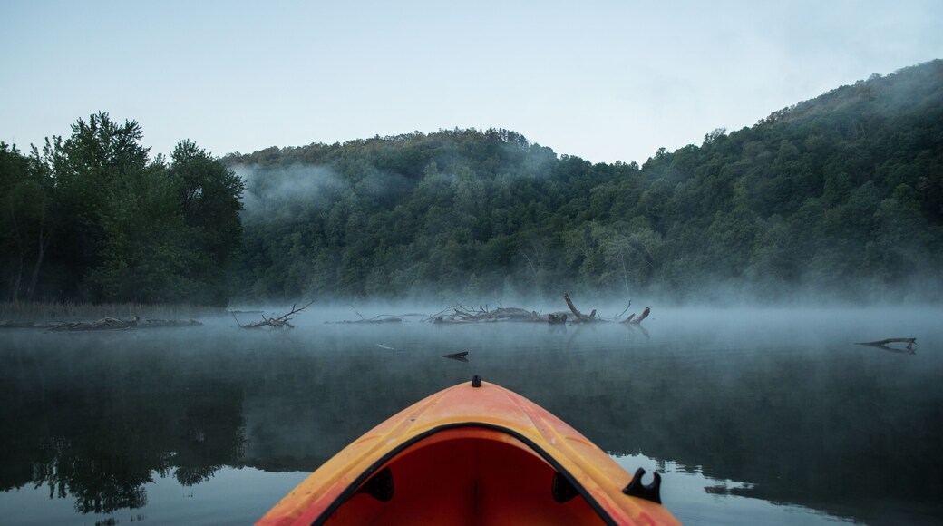 Paddling into log infested waters on a cool foggy morning.