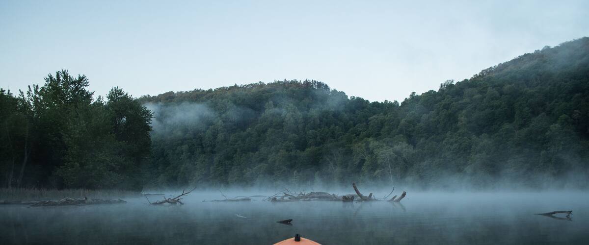 Paddling into log infested waters on a cool foggy morning.