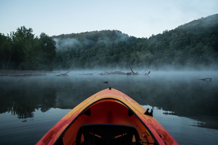 Paddling into log infested waters on a cool foggy morning.