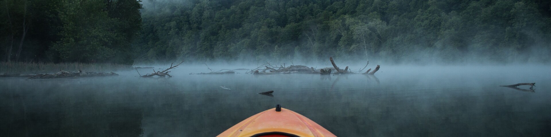 Paddling into log infested waters on a cool foggy morning.