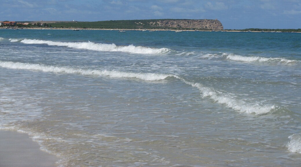 spiaggia" su crastu biancu" e " sa "mesalonga"