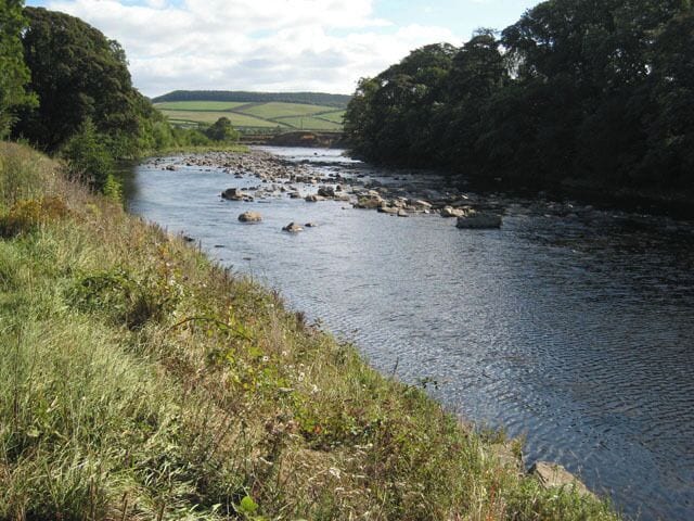 River Tyne near Newbrough