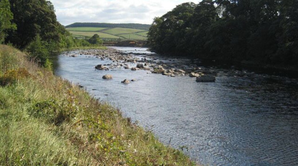 River Tyne near Newbrough