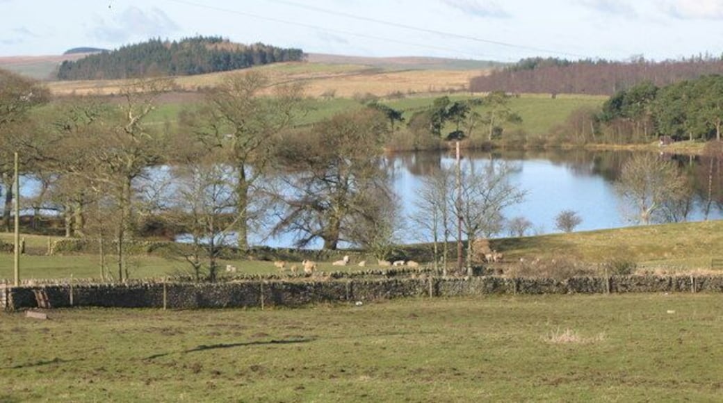 Langley Reservoir (4) Photo taken from the B6305 in NY8360.