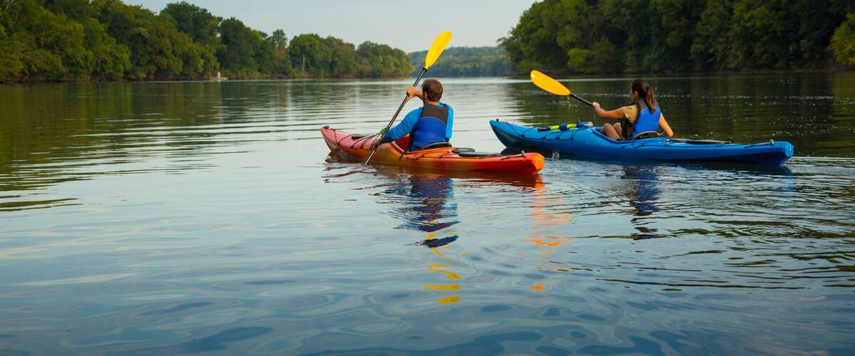 Two kayakers in a calm lake surrounded by dense trees.