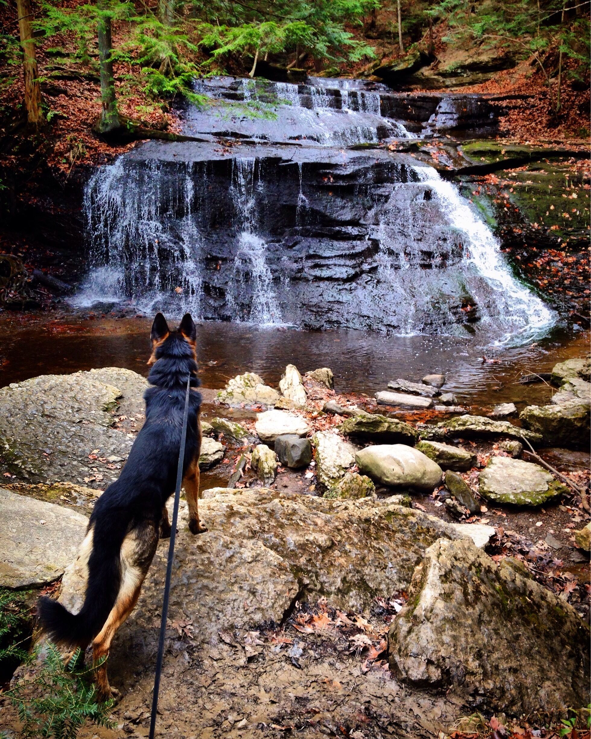 McConnells mill state park! 