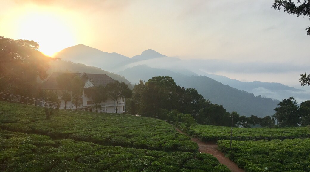Tea Plantation Tranquility @ sunrise
More pictures: https://wp.me/p7CVI8-1UJ
#dawn #sunrise #gruenbergteaplantationhaus #munnar #kerala #india @keralatourism @exploremunnar @incredibleindia @tripadvisorindia #travel #traveling #travelphotography #travelblogger #travelgram #instatravel #mariadasstheworld