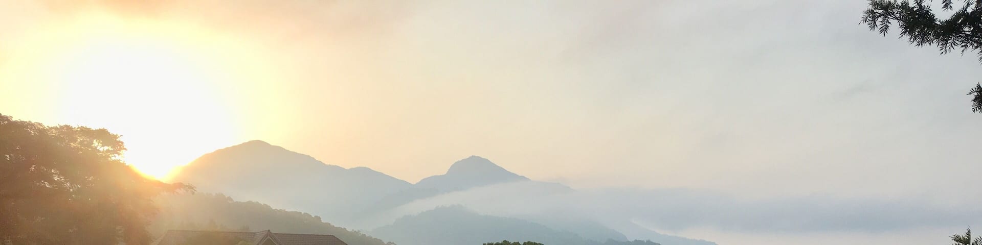 Tea Plantation Tranquility @ sunrise
More pictures: https://wp.me/p7CVI8-1UJ
#dawn #sunrise #gruenbergteaplantationhaus #munnar #kerala #india @keralatourism @exploremunnar @incredibleindia @tripadvisorindia #travel #traveling #travelphotography #travelblogger #travelgram #instatravel #mariadasstheworld
