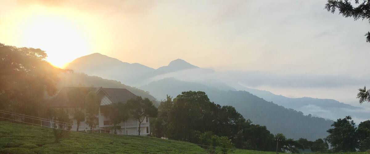 A tea plantation with a house and mountains in the background.