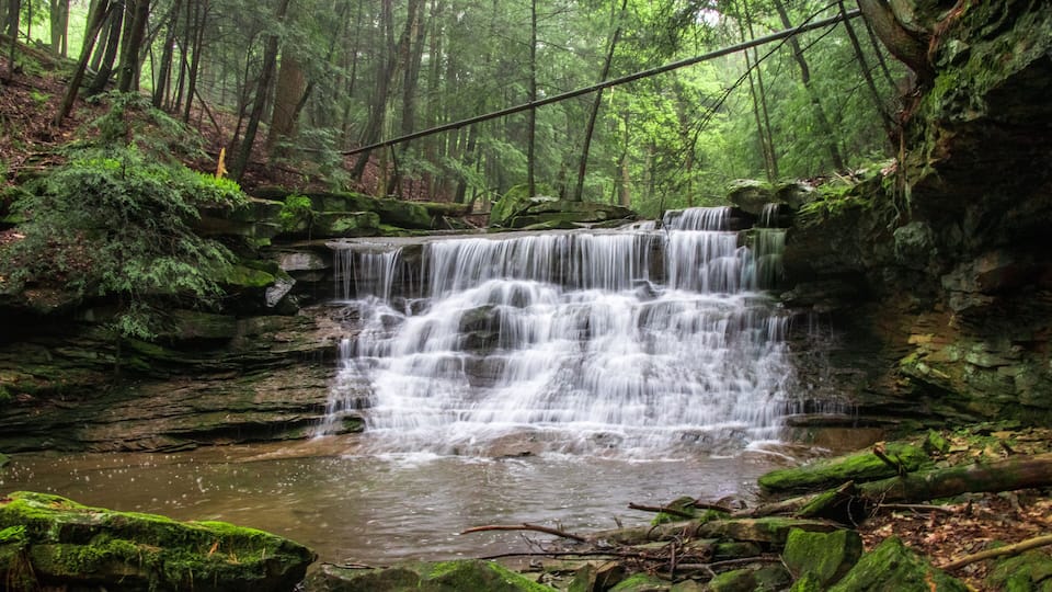 A waterfall in a forested area with moss-covered rocks and dense trees.