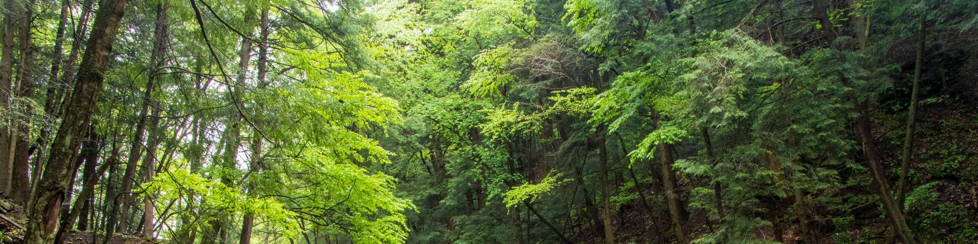 Freedom Falls near Emlenton, PA