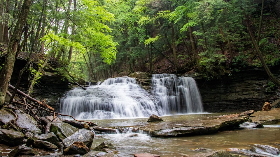 A waterfall in a forested area with rocks and trees.