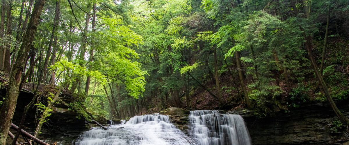A waterfall in a forested area with rocks and trees.