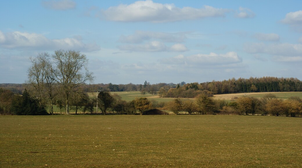 View From Gundleton, Hampshire Looking in the direction of Bighton.