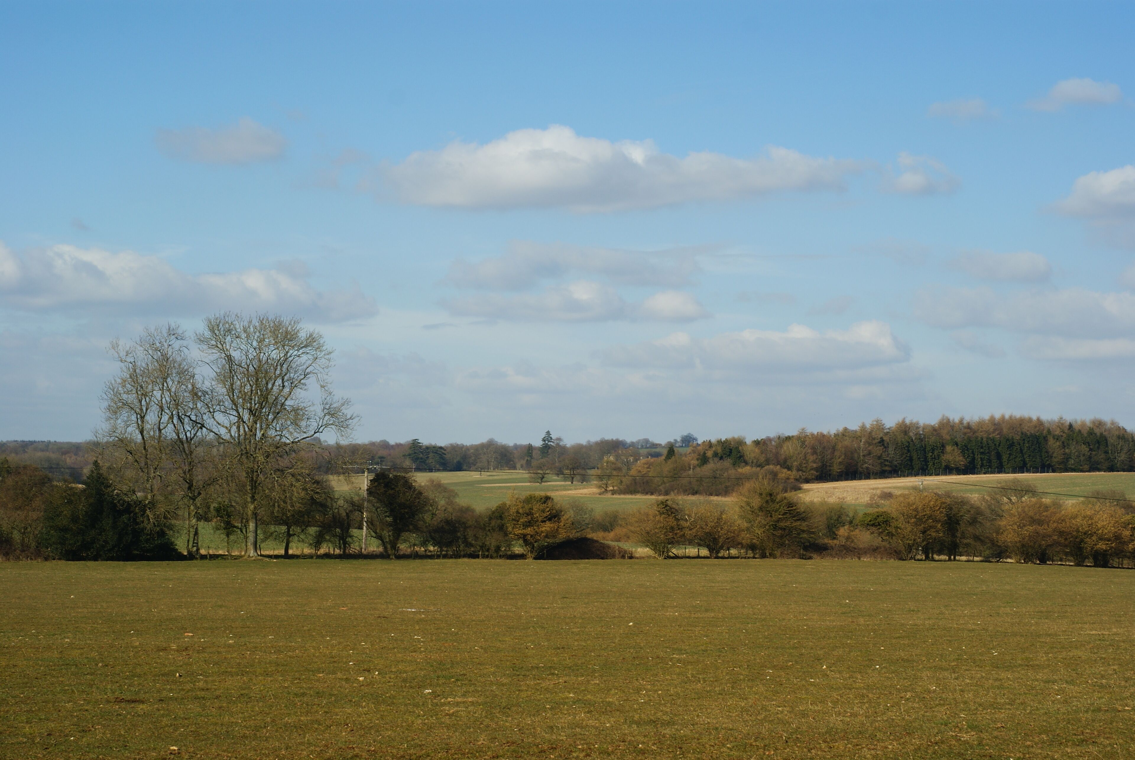 A rural landscape with open fields, scattered trees, and a distant forested hill.