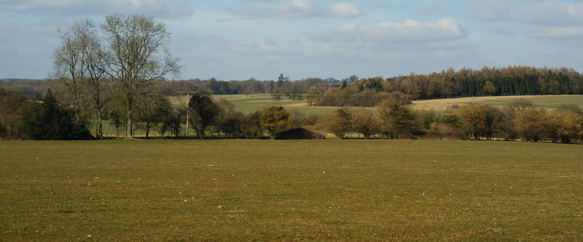 A rural landscape with open fields, scattered trees, and a distant forested hill.