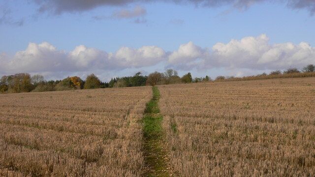Footpath across field This footpath crosses the large fields south of Bighton.