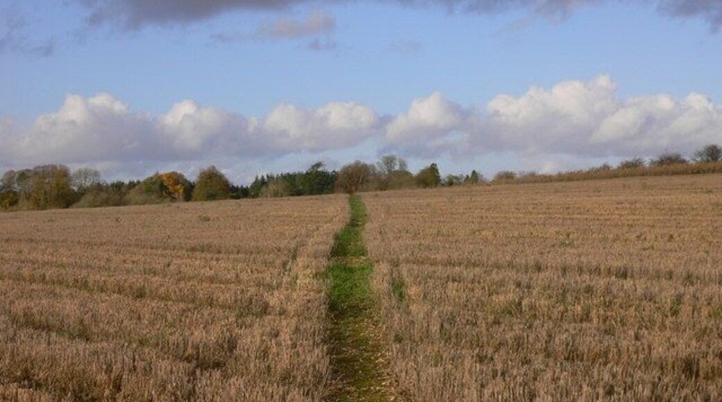 Footpath across field This footpath crosses the large fields south of Bighton.