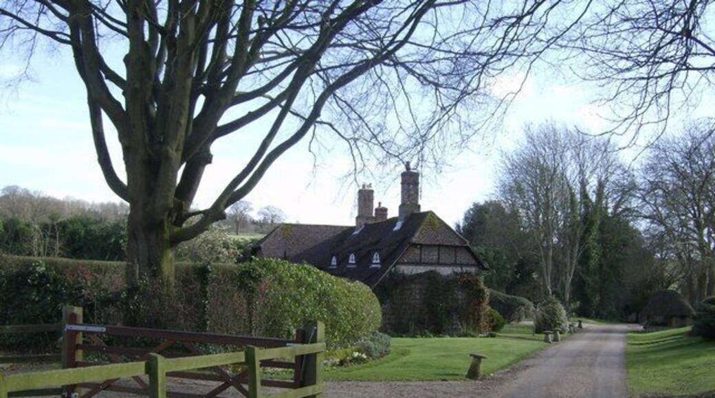 Within Bighton House grounds A public footpath runs through the grounds, here along the main drive. The houses ahead are at the entrance gates at High Dell.