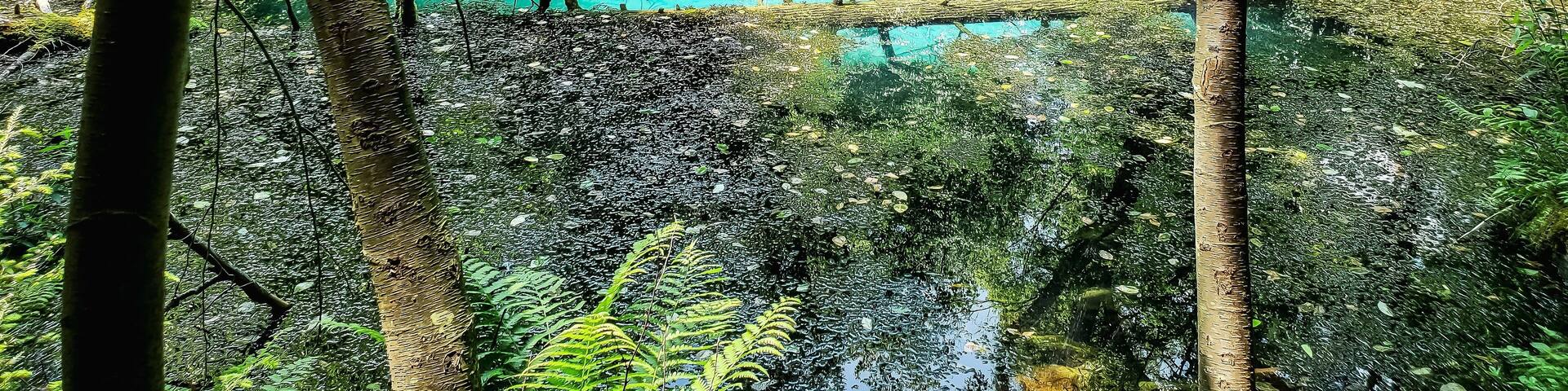 This truly is a local secret, nestled in the mountains of Pennsylvania, this cold natural spring is hard to find and not well known, but one of the most beautiful sights.
#localsecrets
