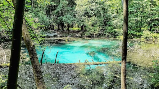This truly is a local secret, nestled in the mountains of Pennsylvania, this cold natural spring is hard to find and not well known, but one of the most beautiful sights.
#localsecrets