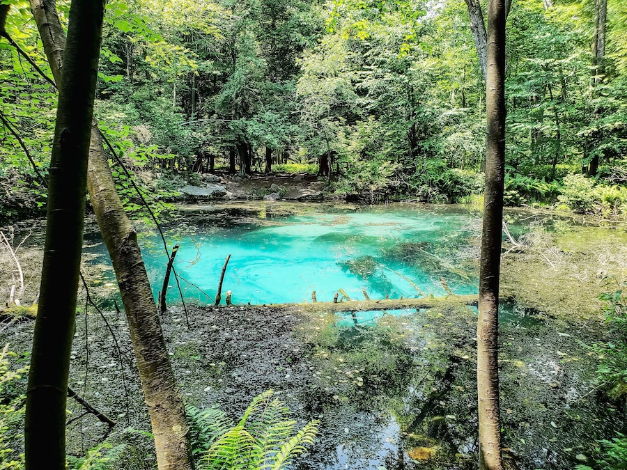 This truly is a local secret, nestled in the mountains of Pennsylvania, this cold natural spring is hard to find and not well known, but one of the most beautiful sights.
#localsecrets